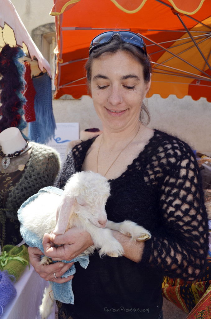 baby goat provence