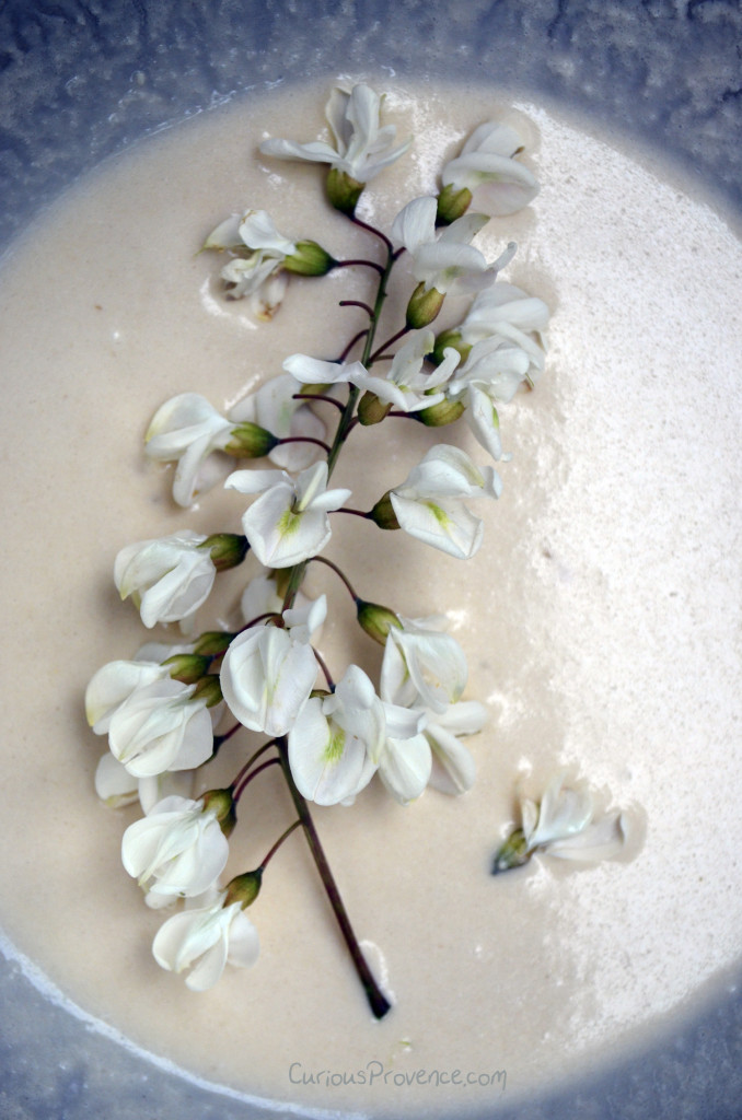 acacia flower in batter