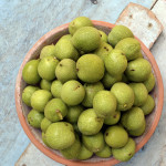green walnuts provence