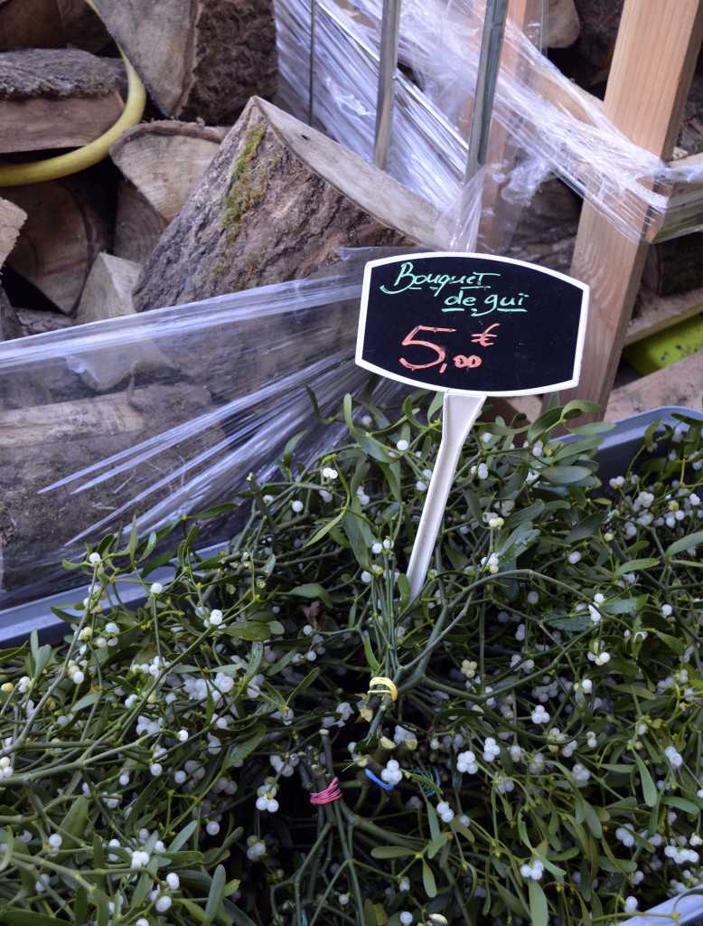 gui mistletoe avignon provence