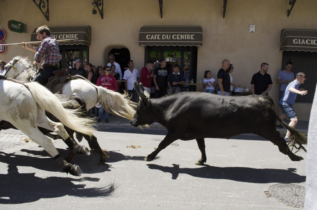 bull running provence