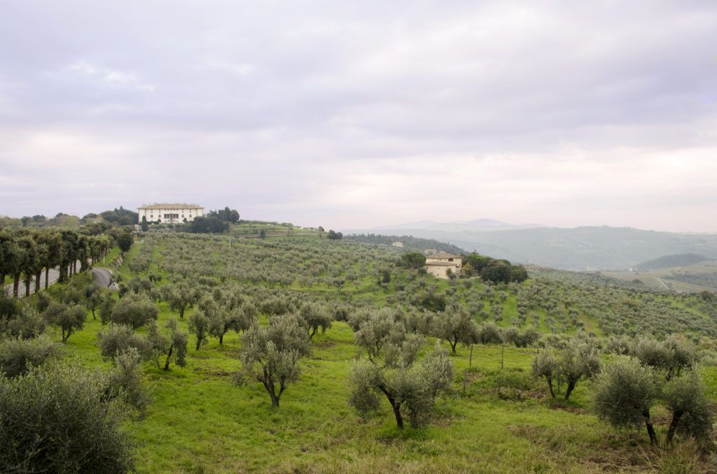 medici villa Tuscany 