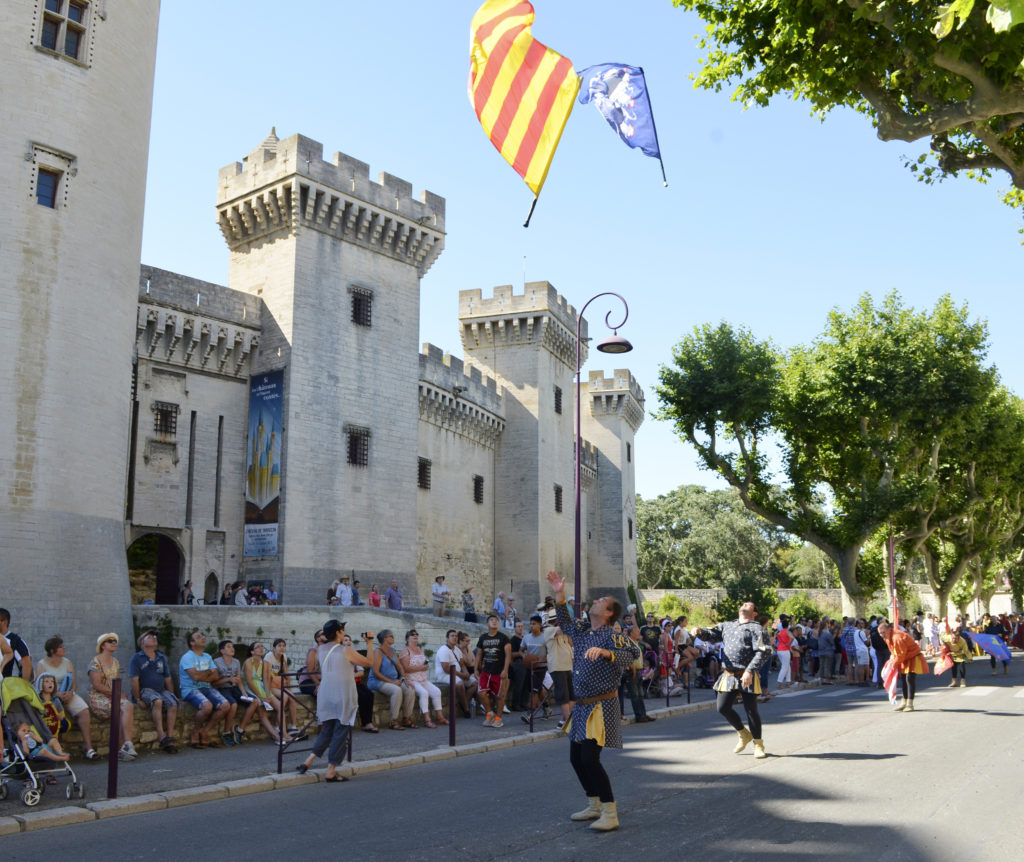 tarascon provence castle