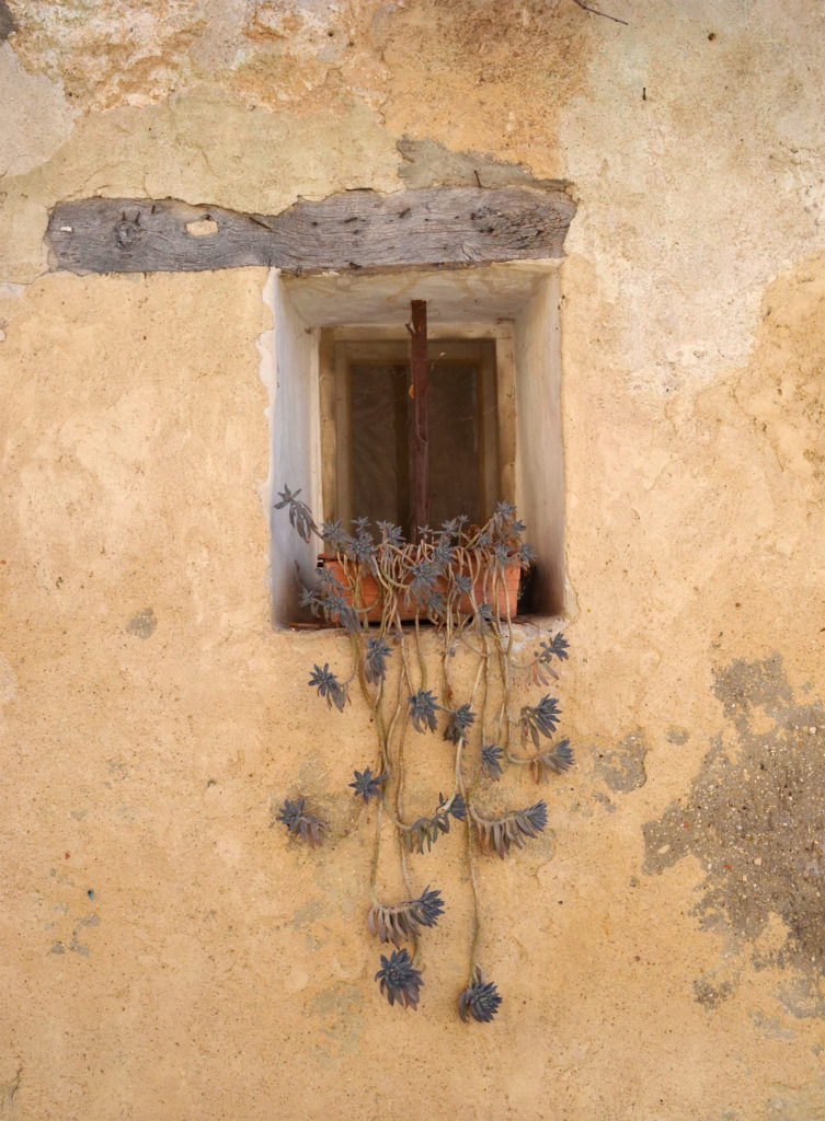 provence windowsill