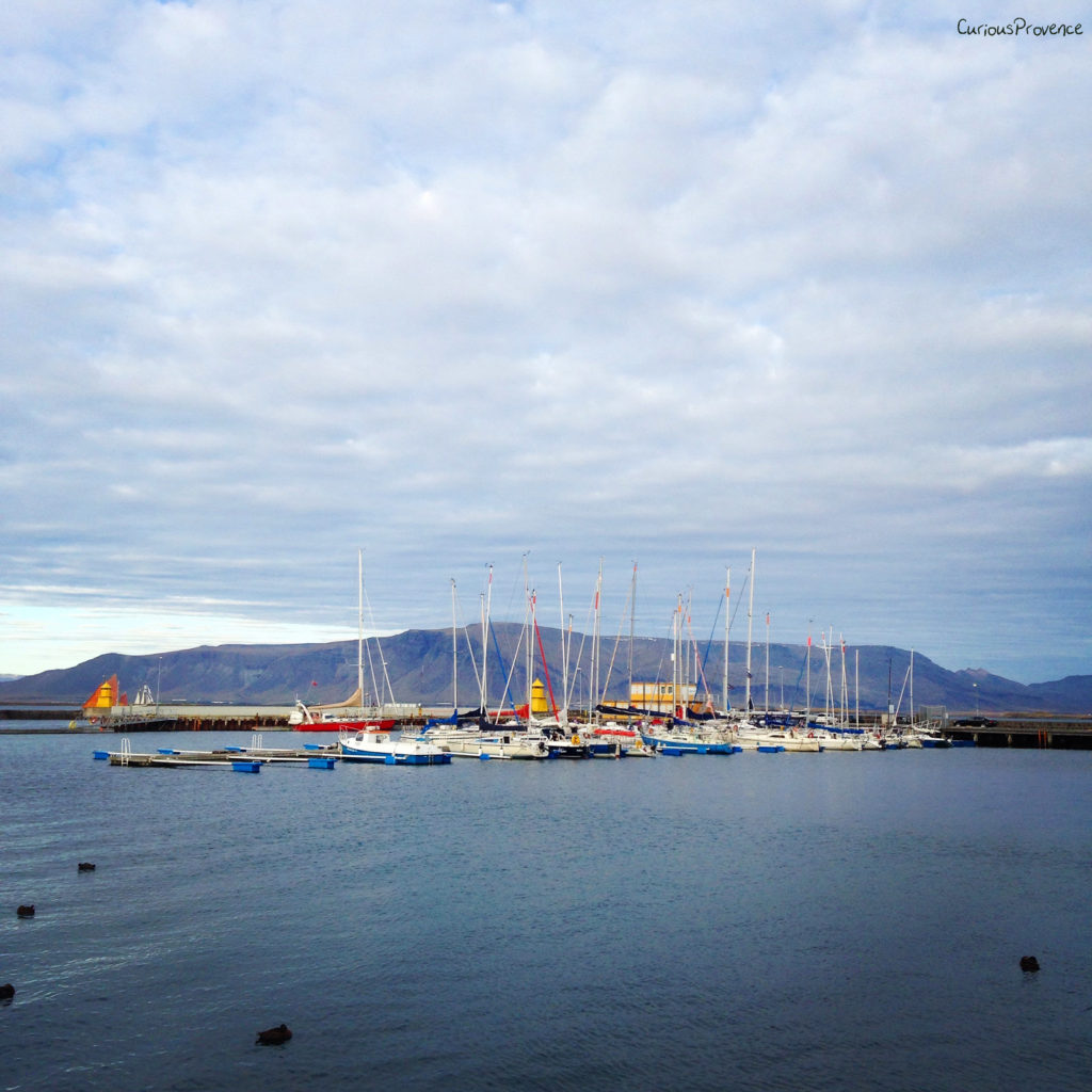 Reykjavik port boats