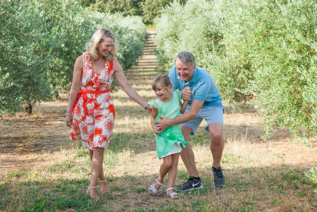 vacation photography provence olive groves